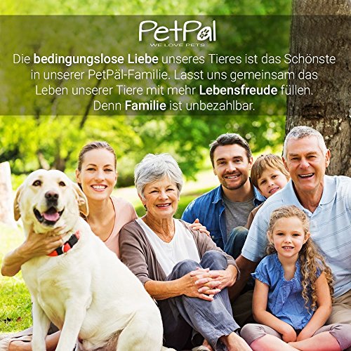 PetPäl Premium Hundebett - Größe XXL - Hundekorb für große Hunde - Hundekissen mit Warmer Polsterung & Rutschfestem Boden - Kuscheliger, Flauschiger Hundeplatz - Größe XXL, Maße: 120x80cm - 5